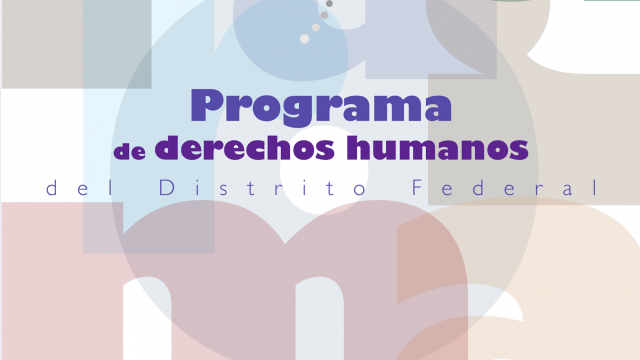 Programa y Diagnóstico anterior